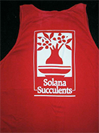 Solana Succulents